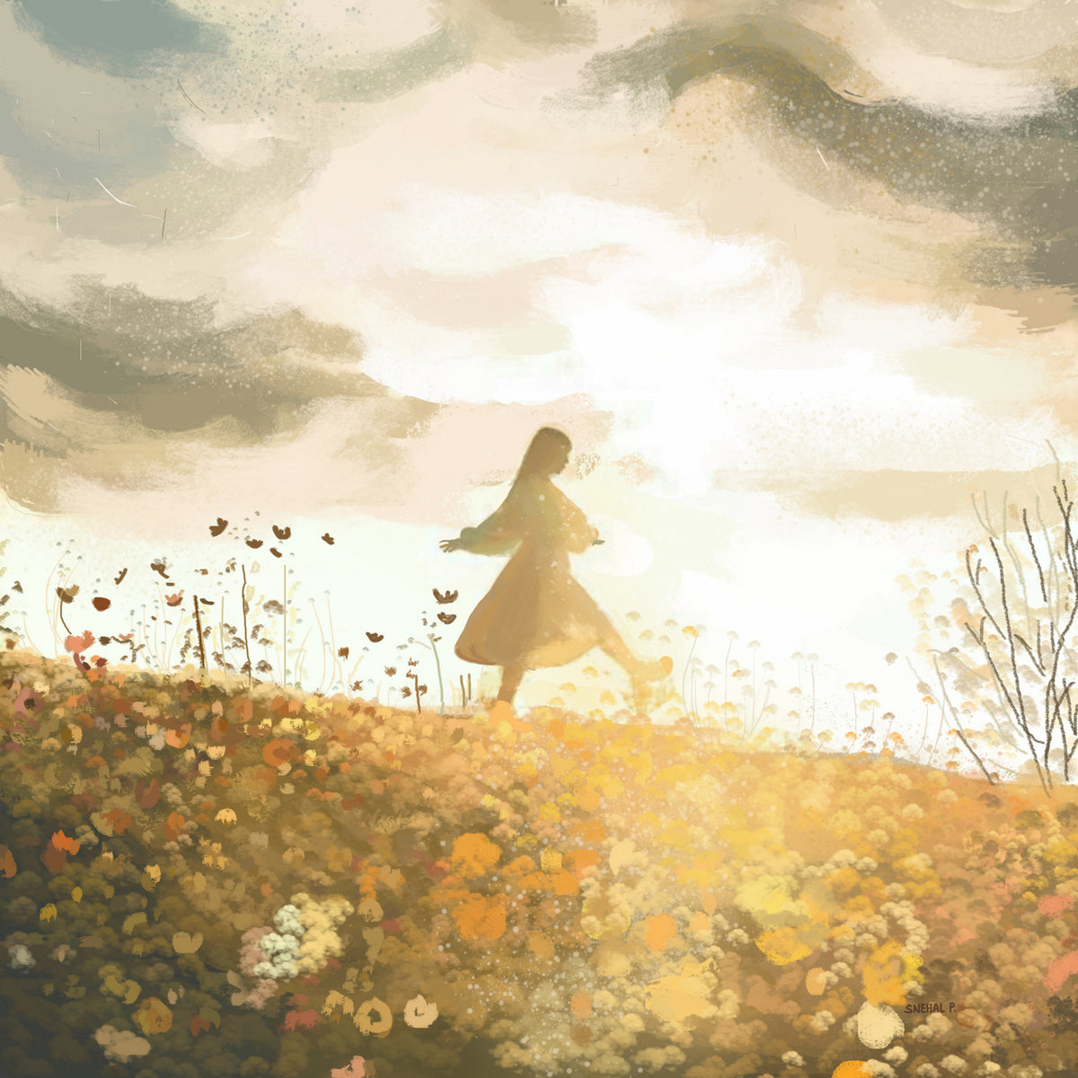 Sunshine